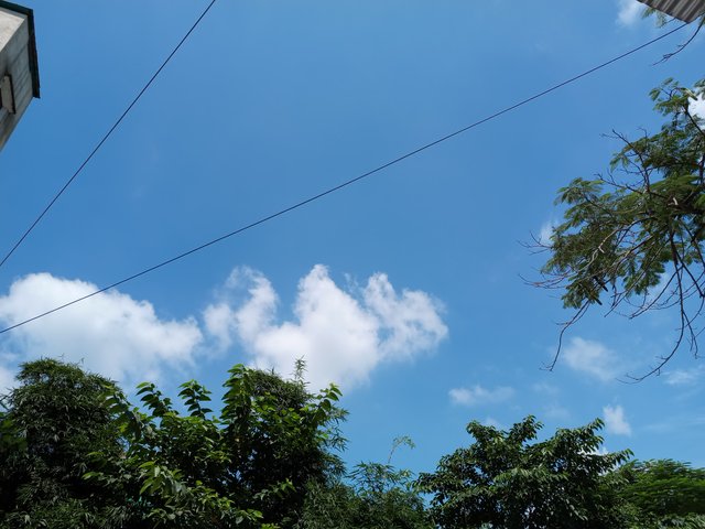 1000211808.jpg