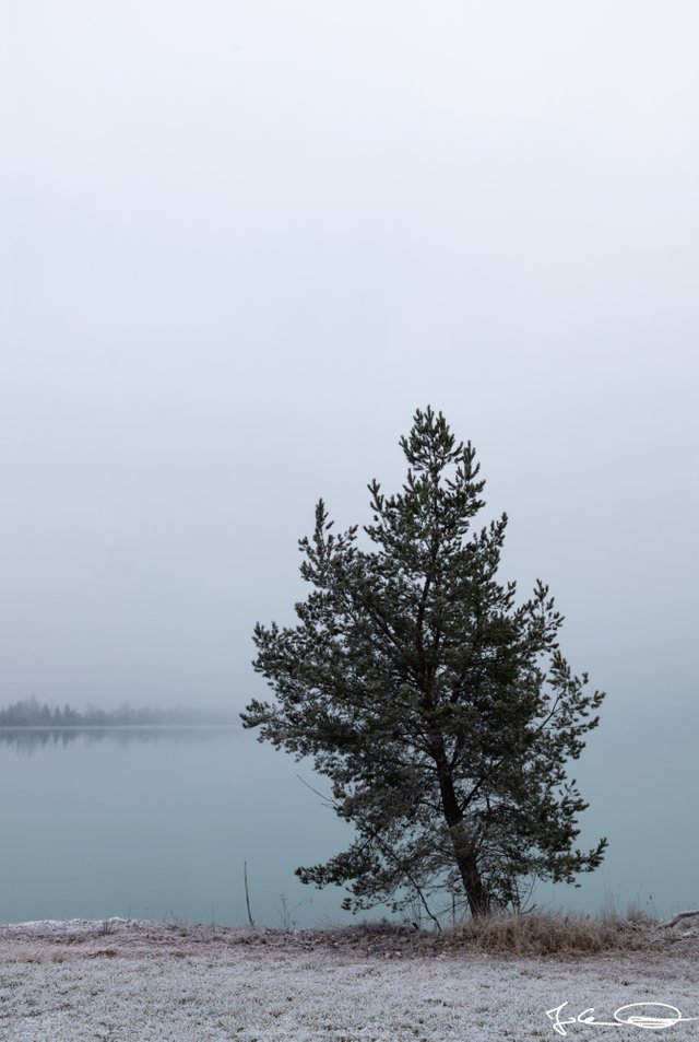 2018-12-23-Drau-misty-River-05.jpg