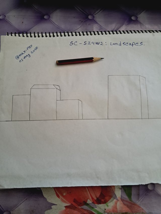 1000025365.jpg