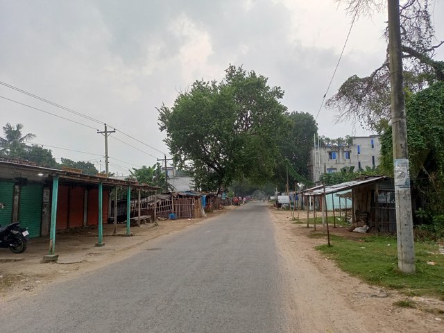 IMG20250911061821.jpg