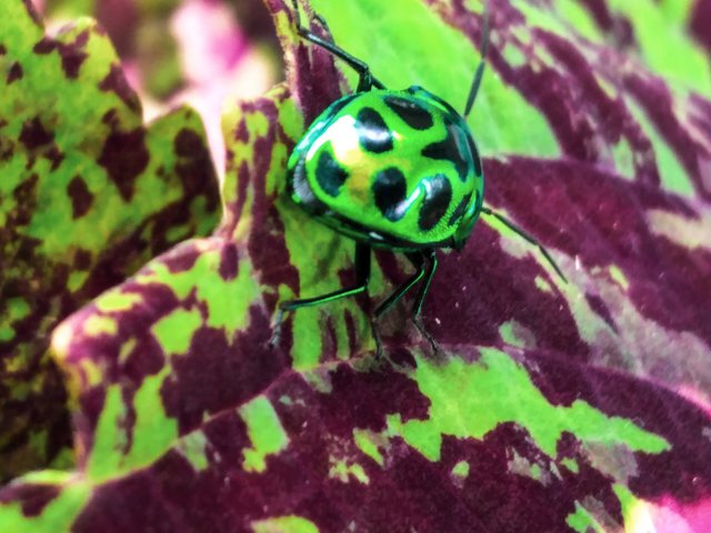 20220530_134237.jpg