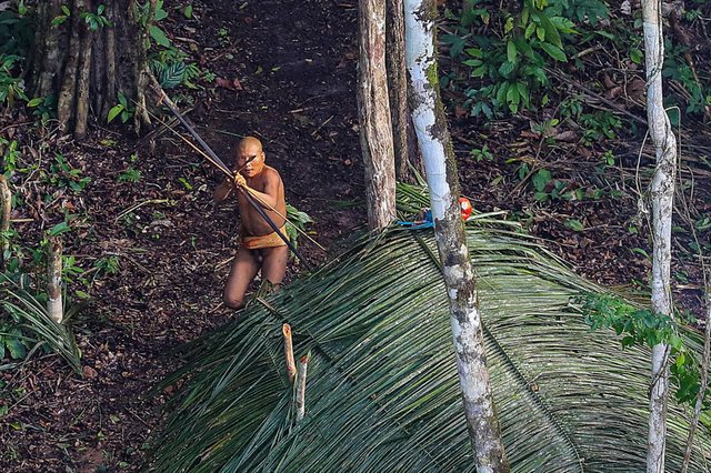 01-uncontacted-tribe-amazon.ngsversion.1482379103654.adapt.1900.1.jpg