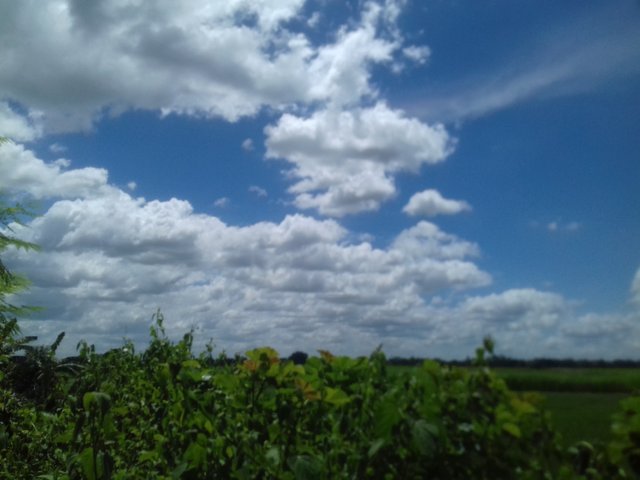 20220714_133757.jpg