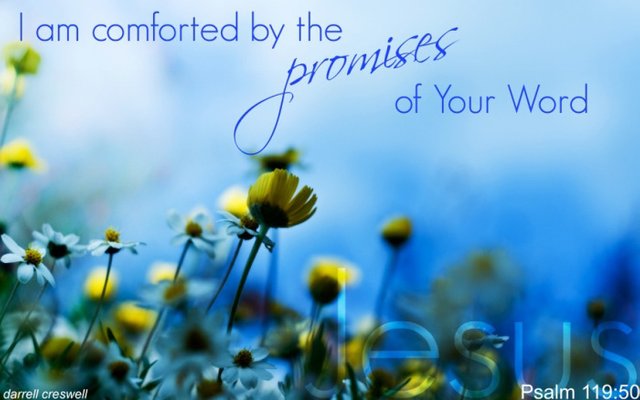 psalm-comfort-promises-god.jpg