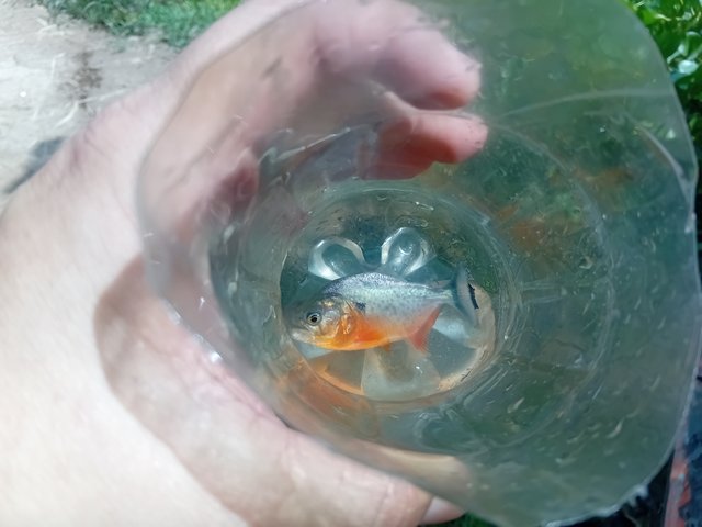 1000163579.jpg