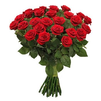 Bunch-of-25-Red-Roses.jpg