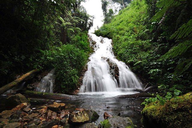 Sanctuary-Gorilla-Forest-Camp-waterfall.jpg