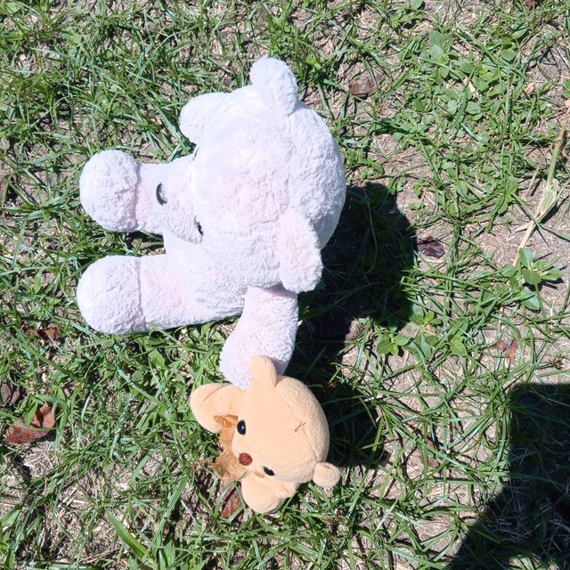 IMG_20250909_105836_027.jpg