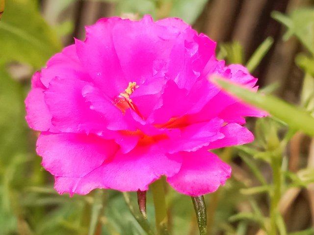 IMG_20250910_205416.jpg