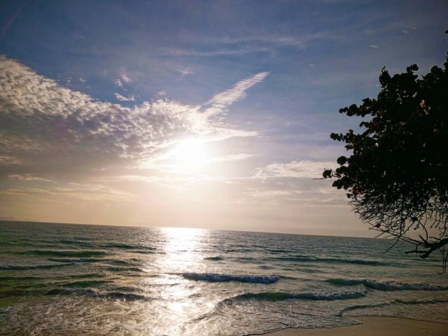 IMG_20250504_065525_194-EFFECTS.jpg