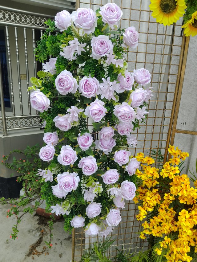 IMG_20250516_110609.jpg