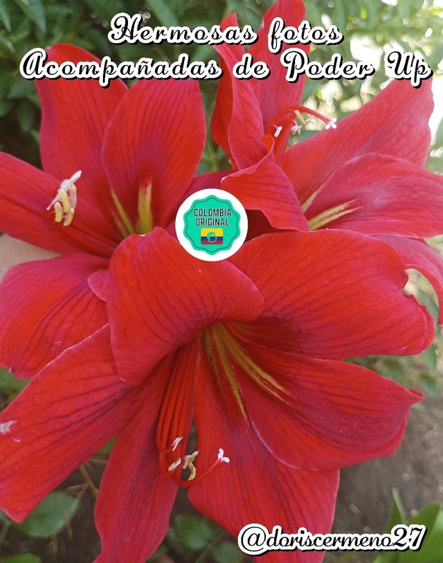 1757764459017.webp