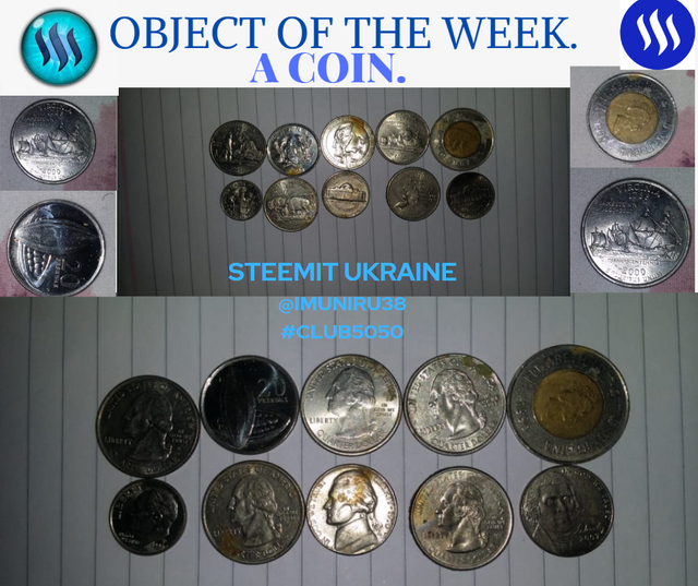 ObJECT OF THE WEEK coin.png
