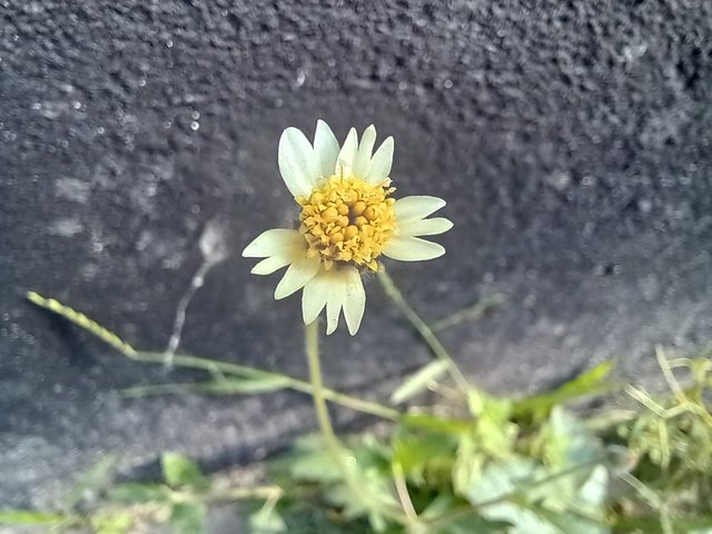 20251015_082024.jpg