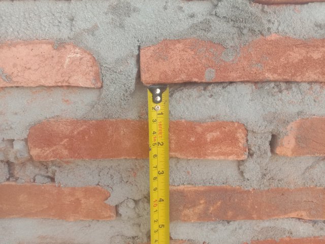 IMG_20240830_080937.jpg