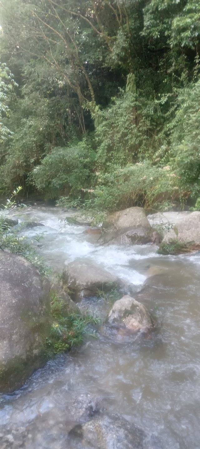 20250819_141926.jpg