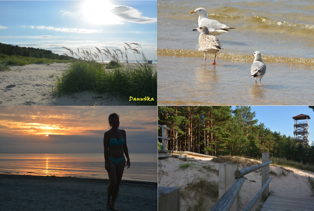 D.Dobrzykowska-jurmala.png