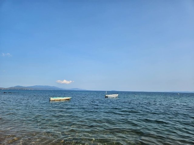 IMG_0221.jpeg