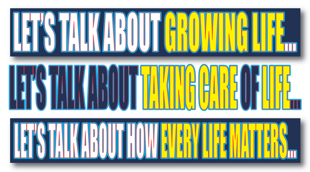 Every Life Matters.png