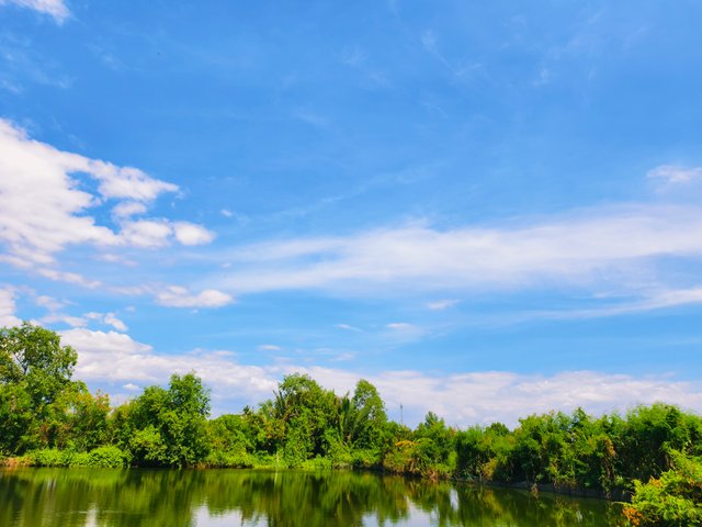 IMG_20250407_144509.jpg