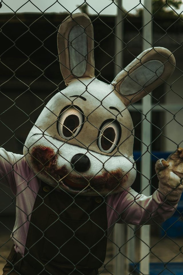 free-photo-of-creepy-rabbit-costume-behind-chainlink-fence.jpeg