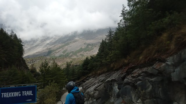 20250503_140305.jpg