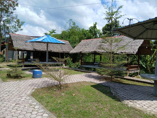 20250717_134711.jpg
