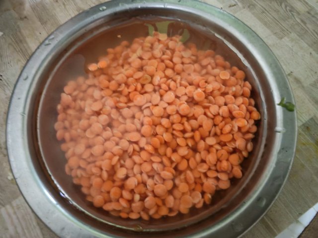 3901.jpg