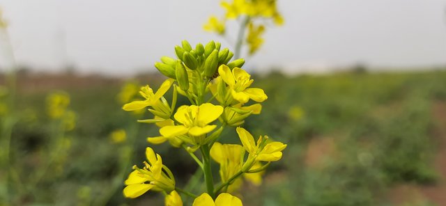 20220123_124045.jpg