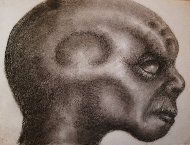 20250430_110839.jpg