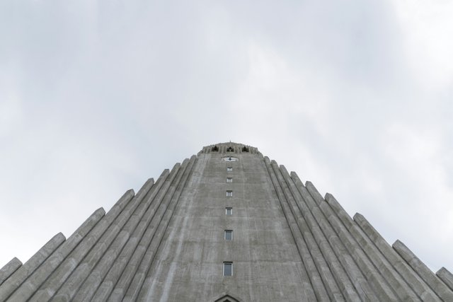 1000149561.jpg