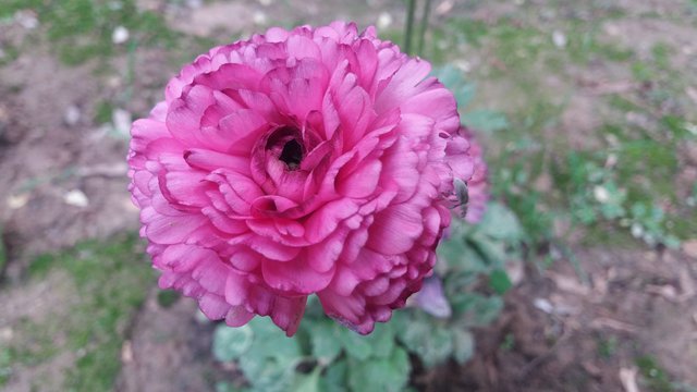 20190411_162841.jpg