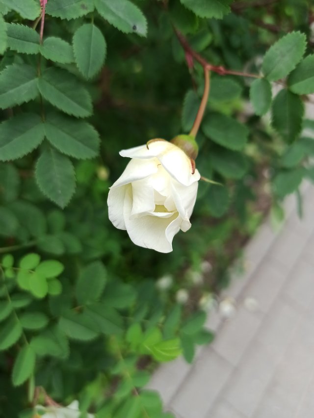IMG_20250603_133914.jpg
