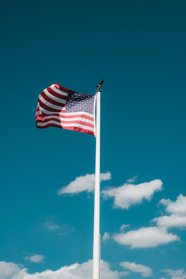 pexels-airam-datoon-11441837.jpg