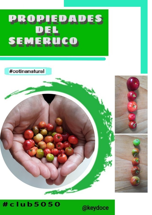 poster del semeruco1 (1).jpg