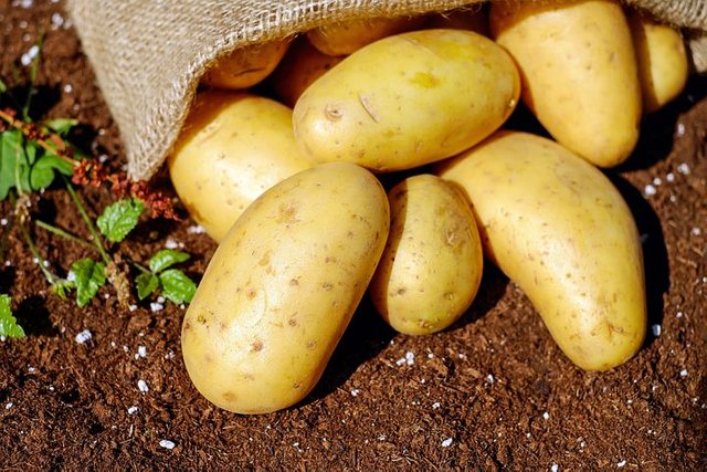 potatoes-1585075__480.jpg