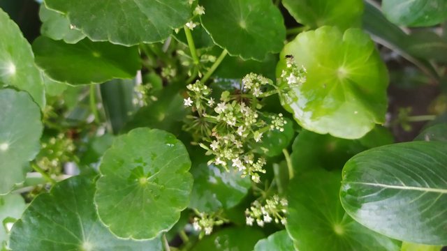 IMG-20230508-WA0013.jpg