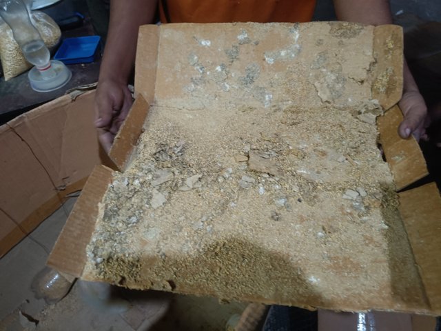 IMG20250518094104.jpg
