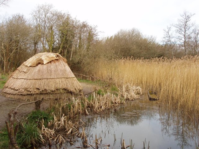 Hunter_gatherer's_camp_at_Irish_National_Heritage_Park_-_geograph.org.uk_-_1252699.jpg