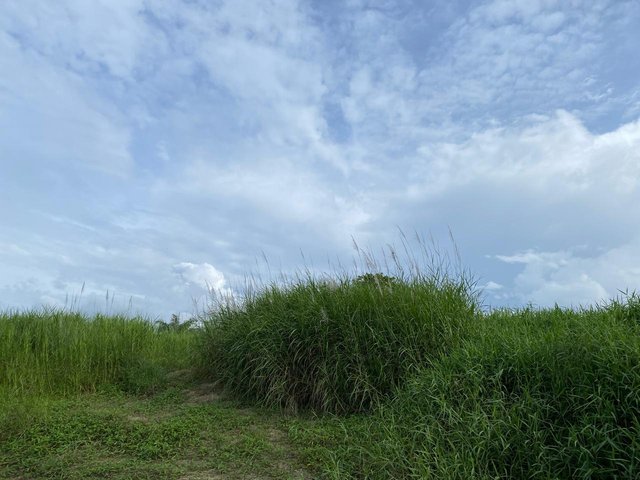 1000319170.jpg