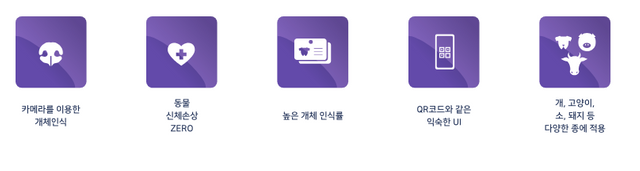 IMAGE (9).png