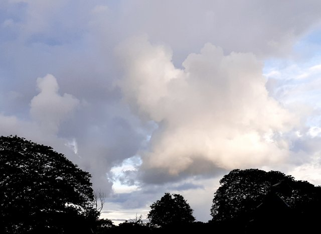 20250621_221110.jpg