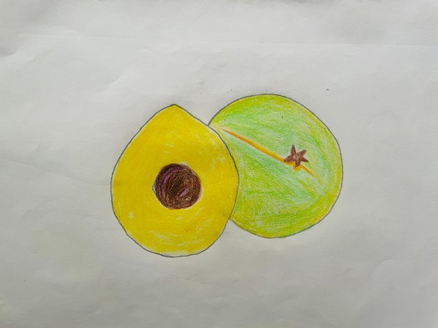 IMG_0396.jpeg