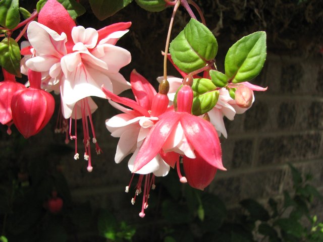 IMG_8407.JPG