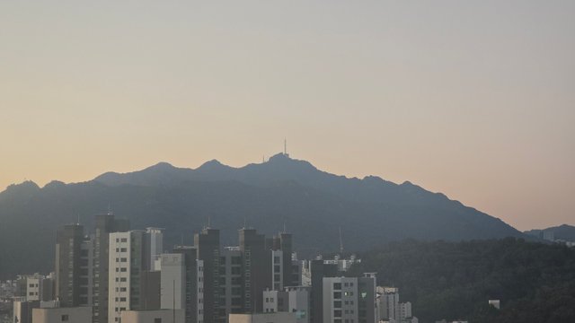 1000143690.jpg