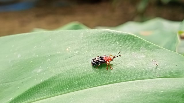 IMG20250606114511.jpg