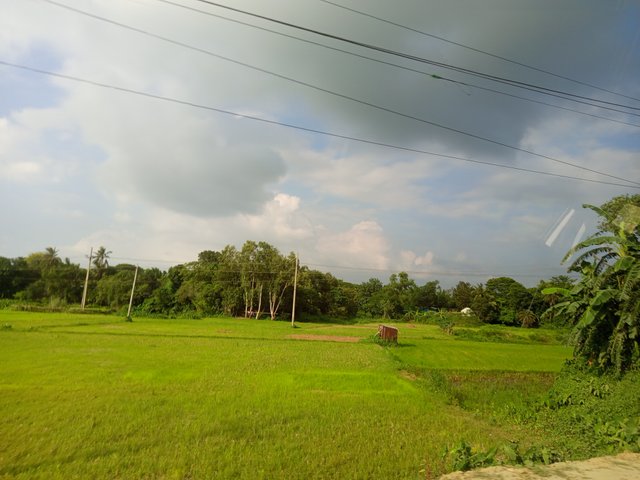 krishi (4).jpg