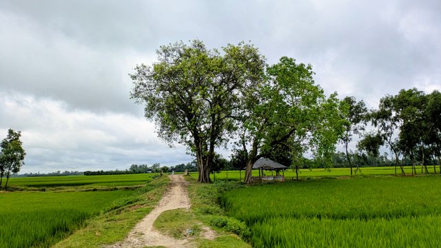 1308.jpg