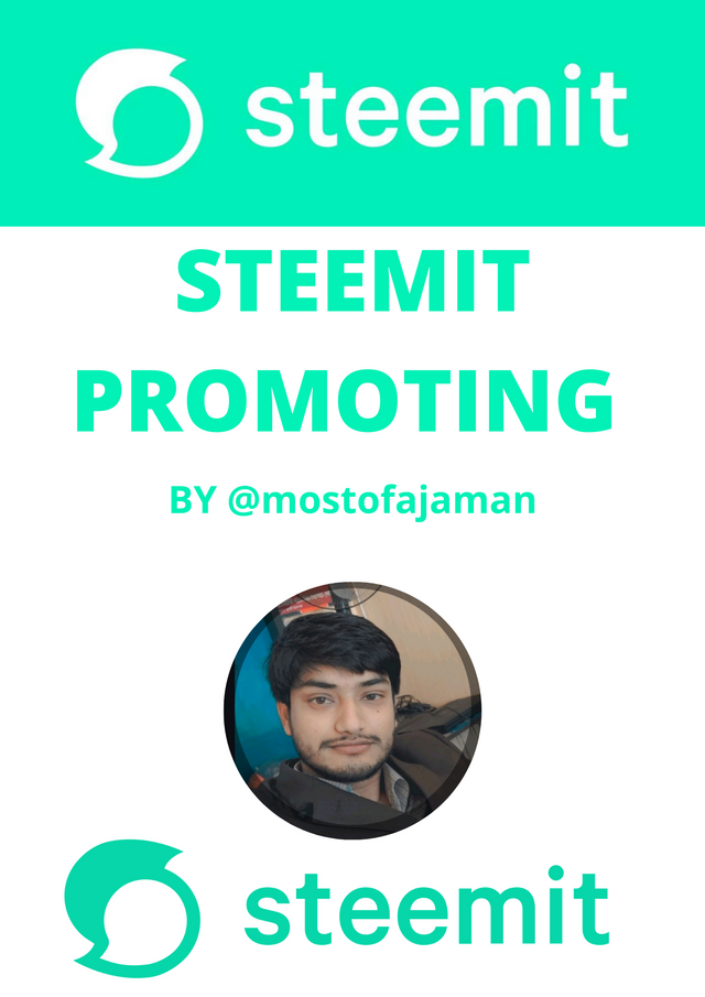 steemit promotion.png