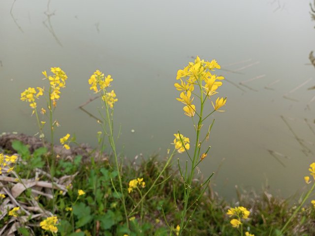 IMG_20240117_170809_601.jpg